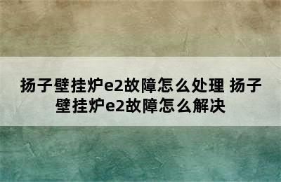 扬子壁挂炉e2故障怎么处理 扬子壁挂炉e2故障怎么解决